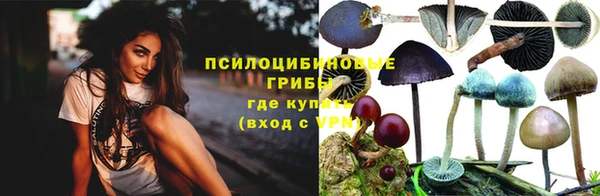 прущие грибы Верхнеуральск